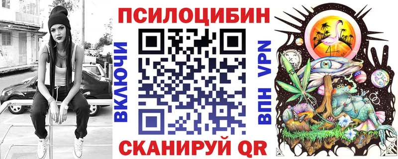 где можно купить наркотик  Дмитриев  Псилоцибиновые грибы Psilocybine cubensis 